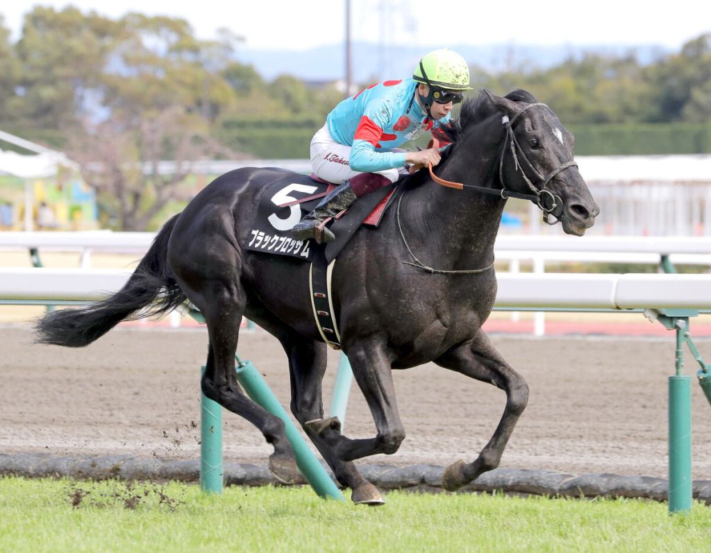 每日賽馬晚報（2022年3月28日），純本地馬報名的香港冠軍賽馬日，完備力量嘗試增程一哩