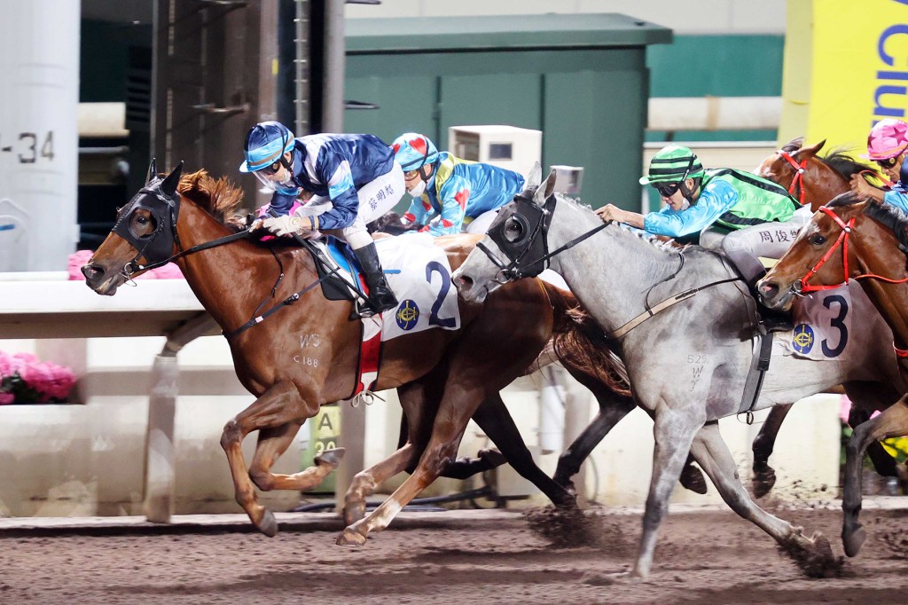 每日賽馬晚報（2022年7月26日），韋小寶大有機會遠征韓國，真章可以跑古活盃