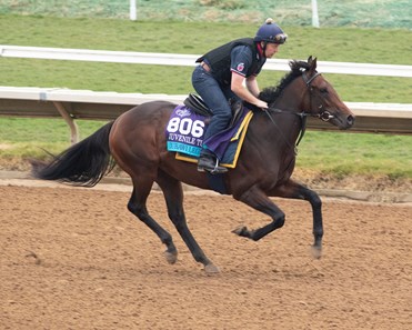 兩歲馬評分第二高之一杜拜傳奇黑馬反擊