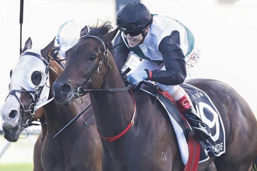 每日賽馬晚報（2022年8月9日），賞東瀛「抱枕」廣告大受注目，希斯家族圖應樂觀派及古勢力中興