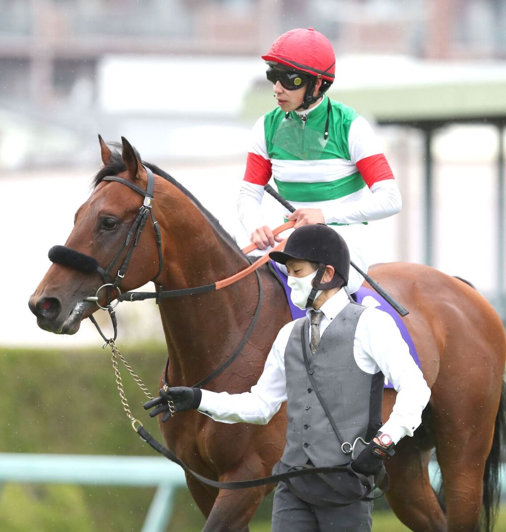 每日賽馬晚報（2023年1月3日），白宮女主已經退役，樂透心或進軍阿拉伯