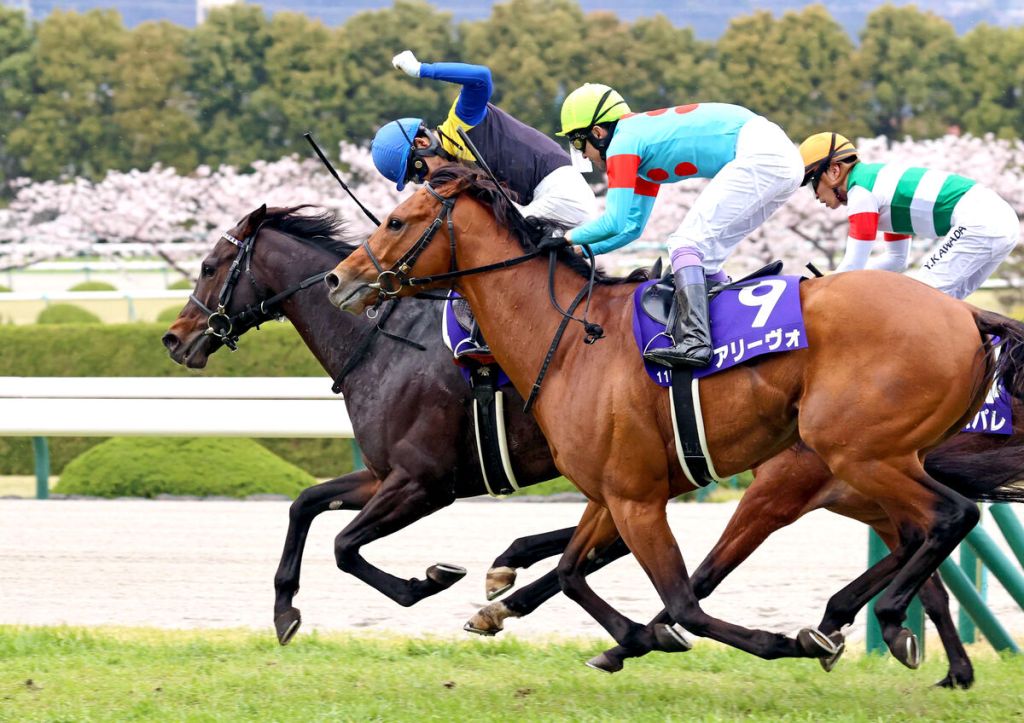 實力考驗,五匹一級賽冠軍之間總有伏兵大阪盃(賠率第二次更新)