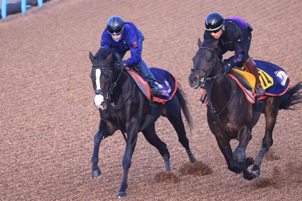 日本三冠首關決定戰先鋒，皐月賞誰可佔優？（星期日更新）