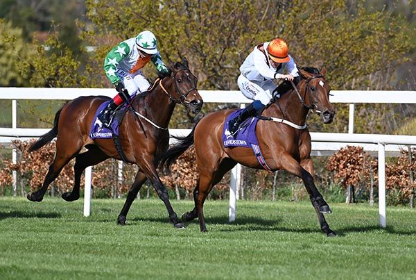 每日賽馬晚報（2022年4月7日），博彩公司看好杜拜威成英愛冠軍種馬，一級賽上名馬明珠常盈今年先贏出表列賽