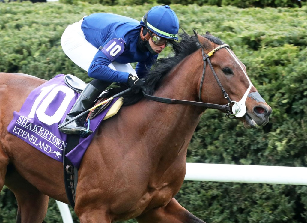 每日賽馬晚報(2022年4月10日),張志立濠江六戰五捷,友情比金堅蘭復出戰大勝風頭蓋過一級賽