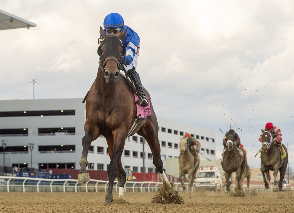 每日賽馬晚報（2022年4月11日），反覆思量來季再戰，跨國英雄後上輕取高解像