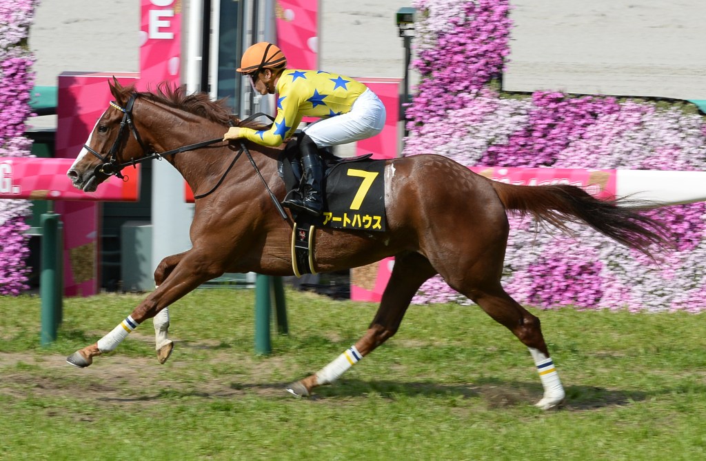 櫻花賞冠軍馬增程，還是其他路線馬匹有突破贏下橡樹