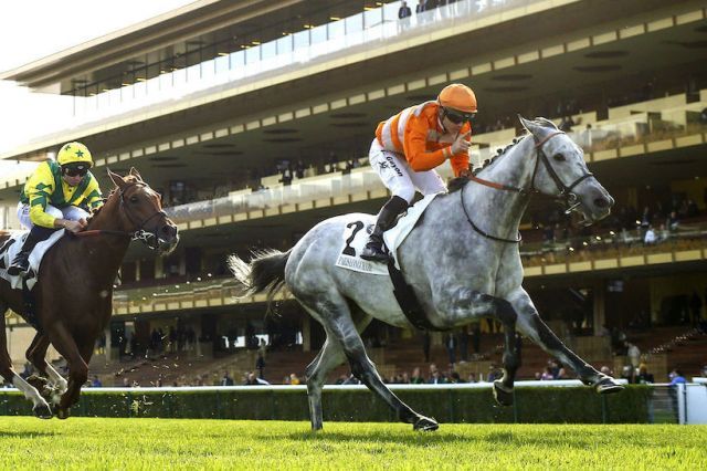 夏葛特錦標，星級對決實勁力達勝出