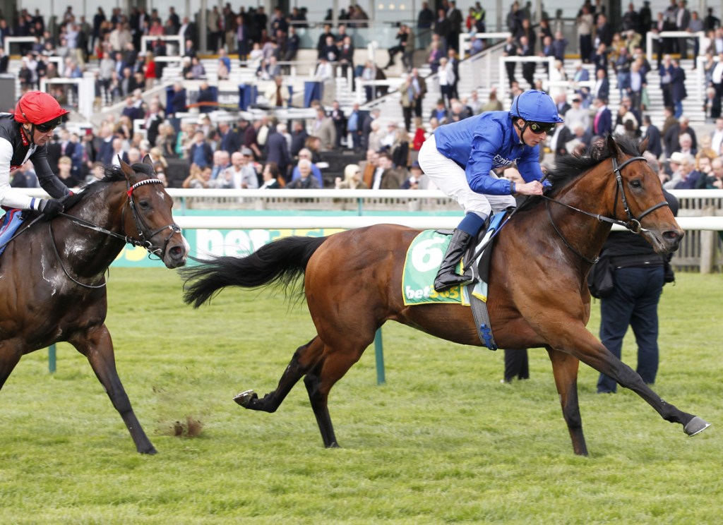 每日賽馬晚報(2022年4月13日),MyRacehorse殺入英愛市場,雄霸海上閹後圖追失地