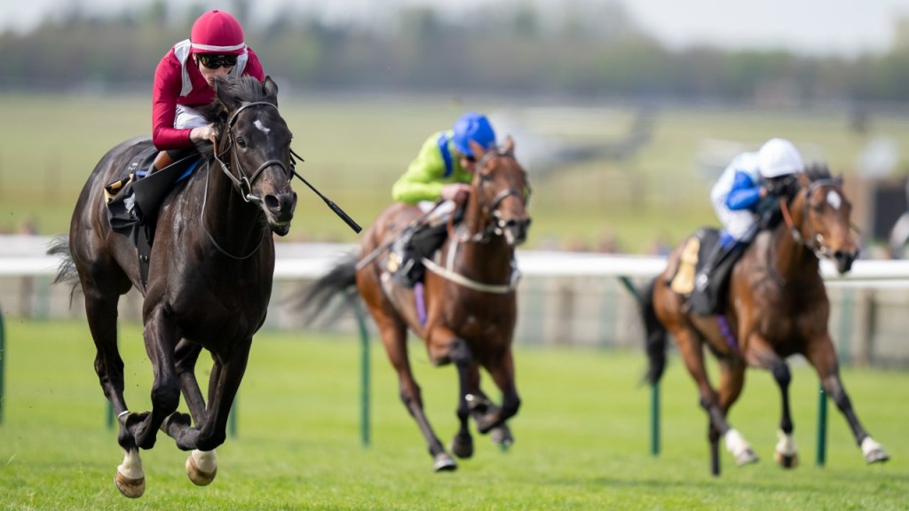 翻版萬勝飛？神秘黑馬愛蹄村（不參加）