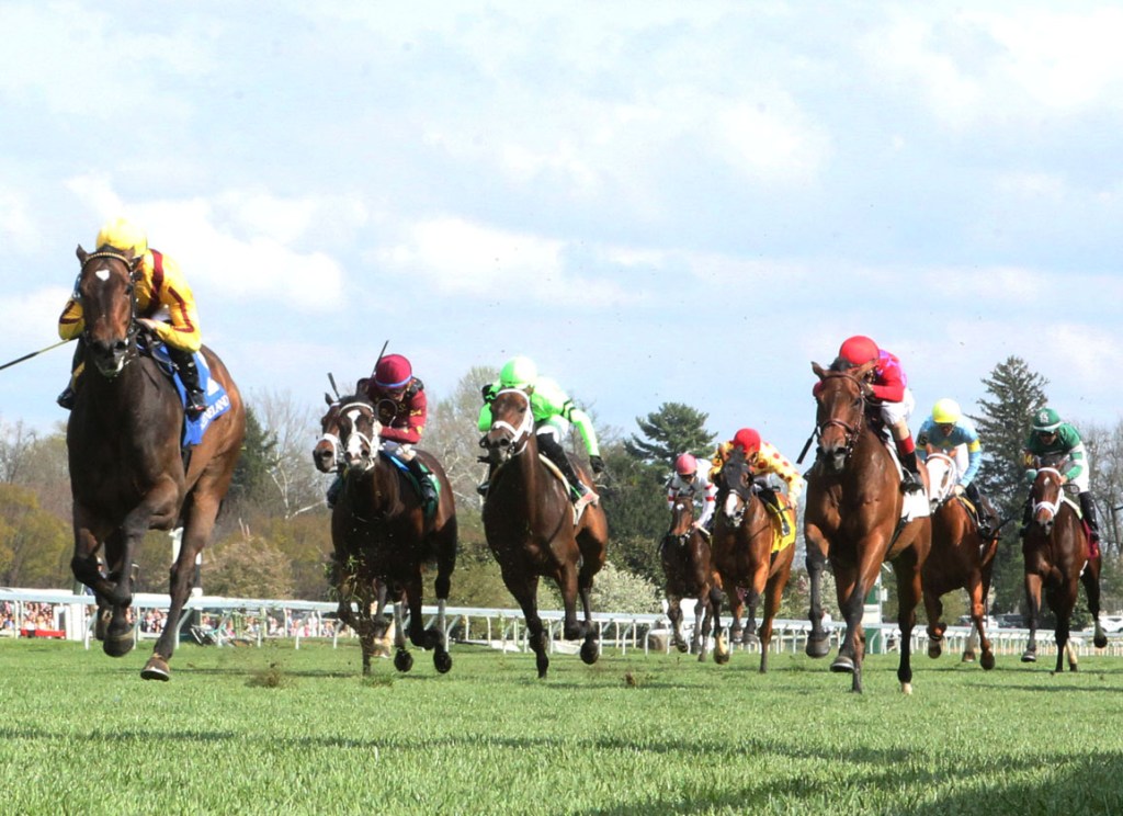 每日賽馬晚報(2022年4月17日),冰水浴連續三週屈居季軍,鈴兒花復出輕取表列賽