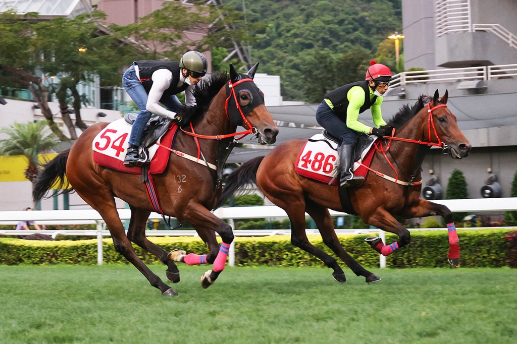 2022年4月24日賽馬日(11場田草、A跑道) 冠軍賽馬日三場推介特集