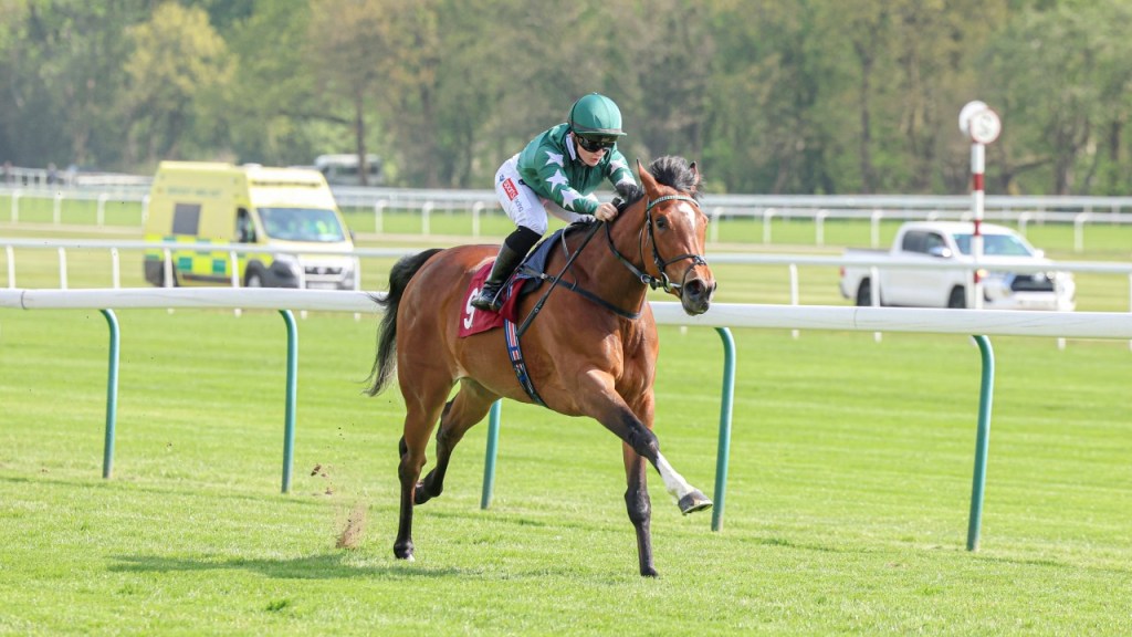 凌雪飛何解報名留位國際錦標