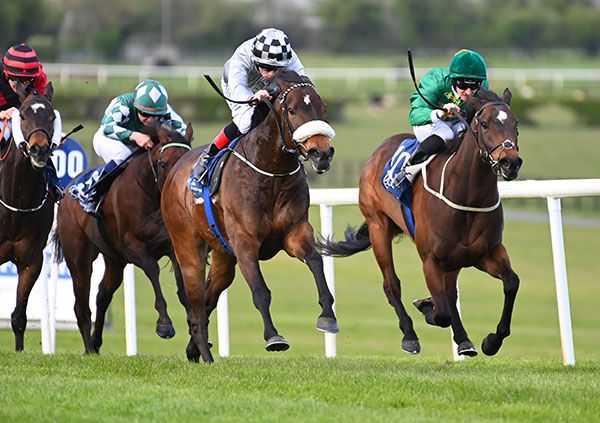 每日賽馬晚報（2022年4月26日），克蘭芝等兩年公眾可入場，Classic Causeway恢復參加肯塔基打吡