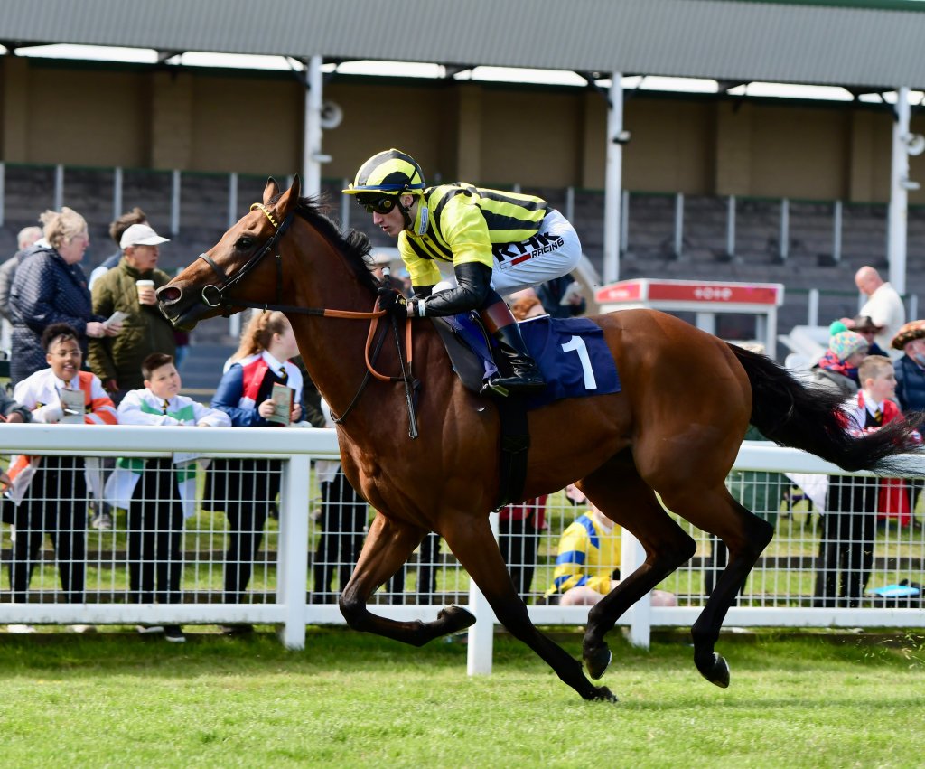 270萬堅尼良血馬初出大勝