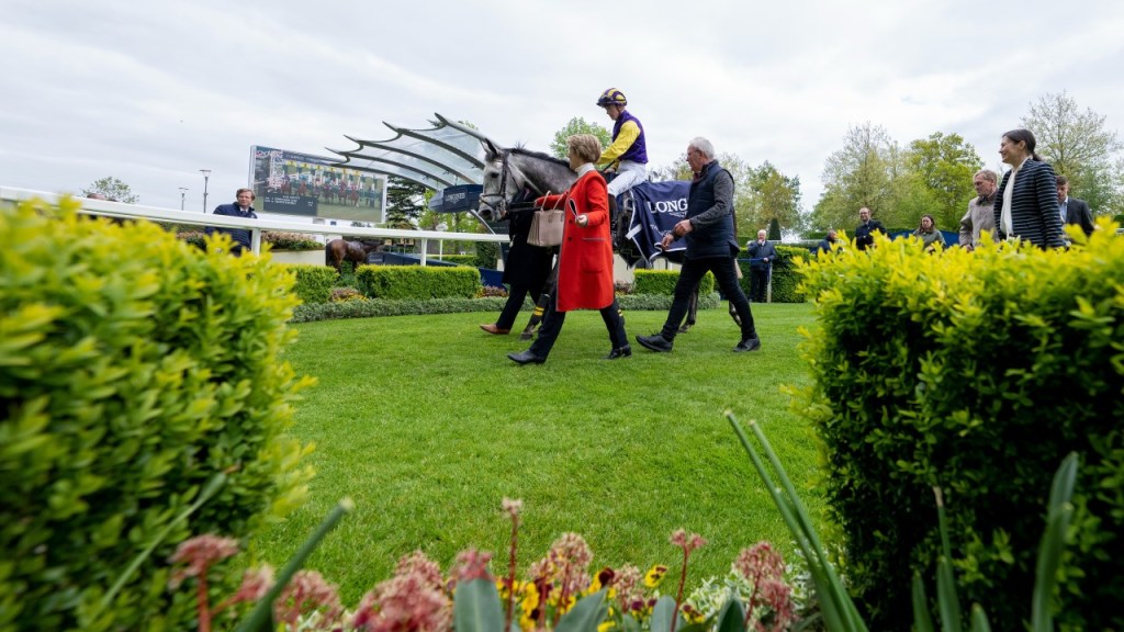 每日賽馬晚報（2022年4月28日），家事國事高規格準備配種工作，素怡公主擊敗群雄奪三級賽