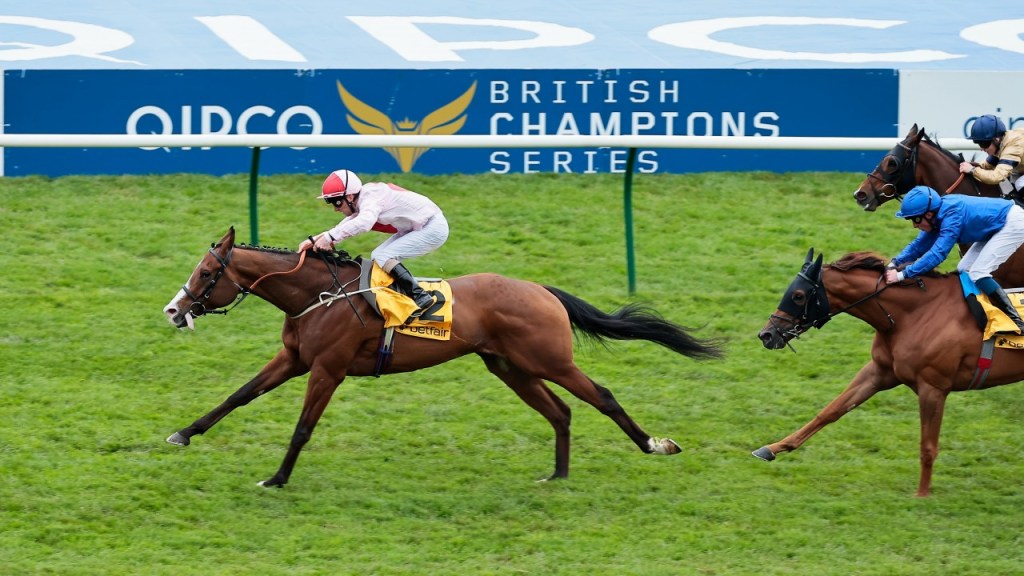加冕盃養傷兩年神秘勢力活奇才