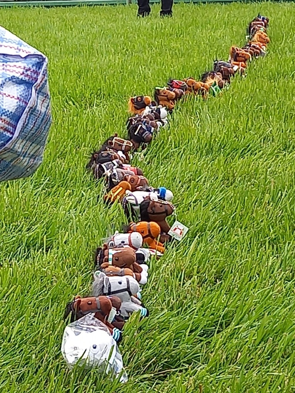 中山競馬場馬公仔誰放的