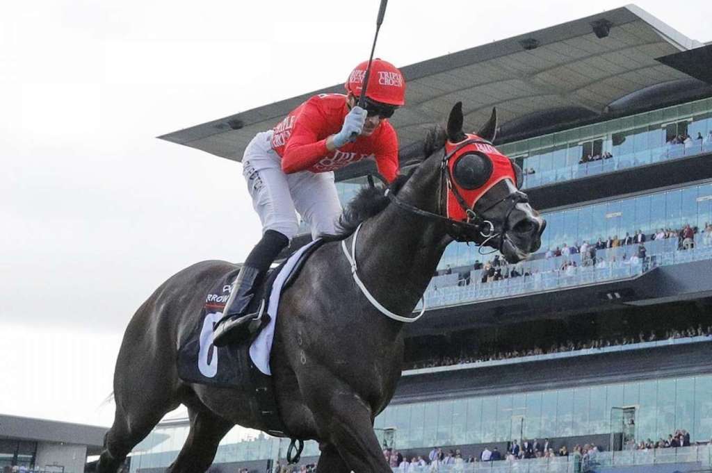 模仿紅達時，馬主替滿志買下兩年珠穆朗瑪峰錦標出賽權