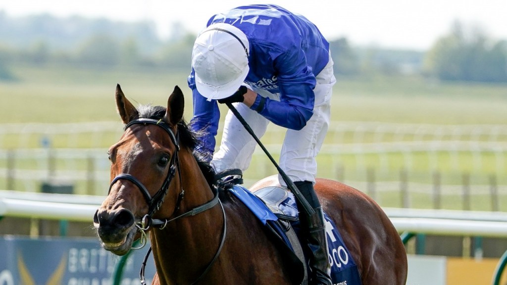 二千堅尼錦標，奪標先驅擊敗真正主力原野步道