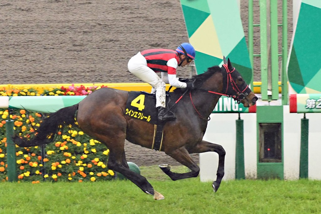 每日賽馬晚報（2022年5月1日），尹慕麟即時停牌，勝出光采半妹贏馬後出路仍未決定