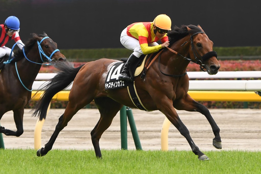 俊彥茶座的實際威力