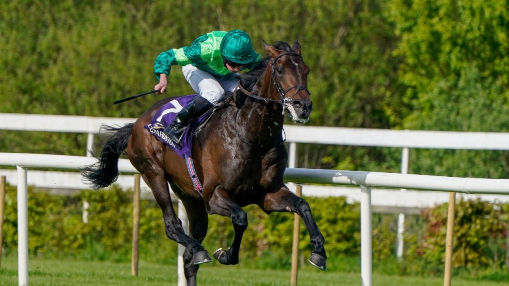 葉森打吡大賽賽駒介紹壓軸，石器時代兩歲五戰全敗只為今天