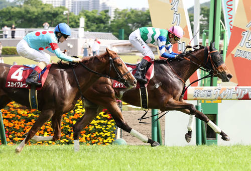 京王盃春季盃，齊叫好收歛夠步速就行