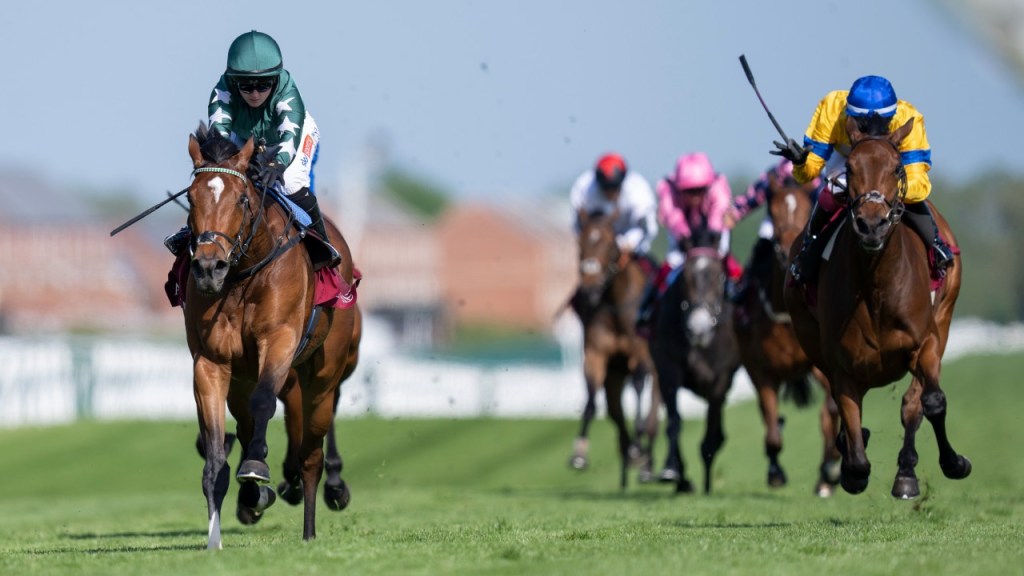 高仕登父子兩大主力，面對葉森橡樹優勢如何保持