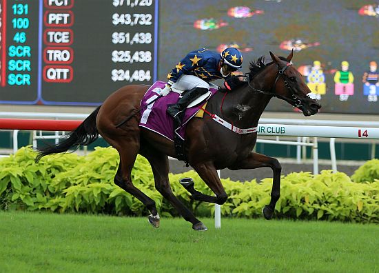 2022年7月17日新加坡打吡賽馬日精選