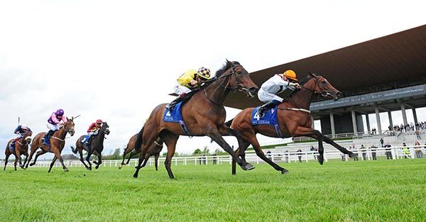 2022年8月2日羅斯齊爾德大賽各場推介