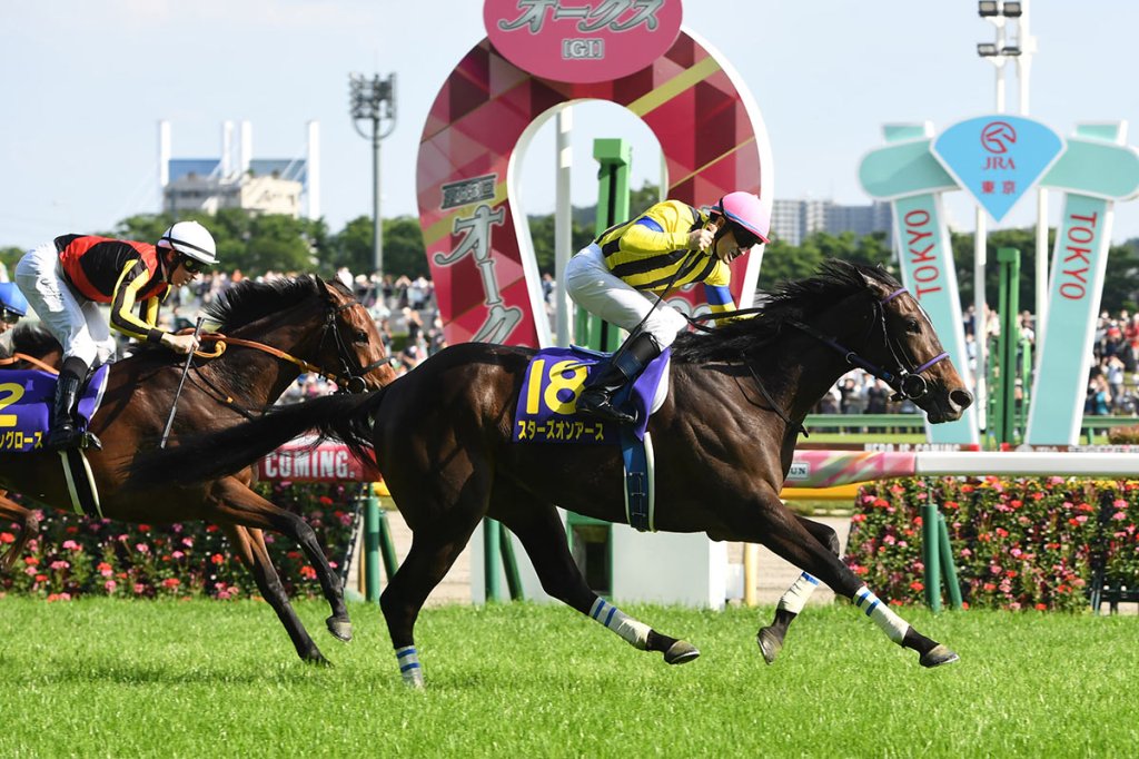 星映天下秋季天皇賞改配杜滿萊