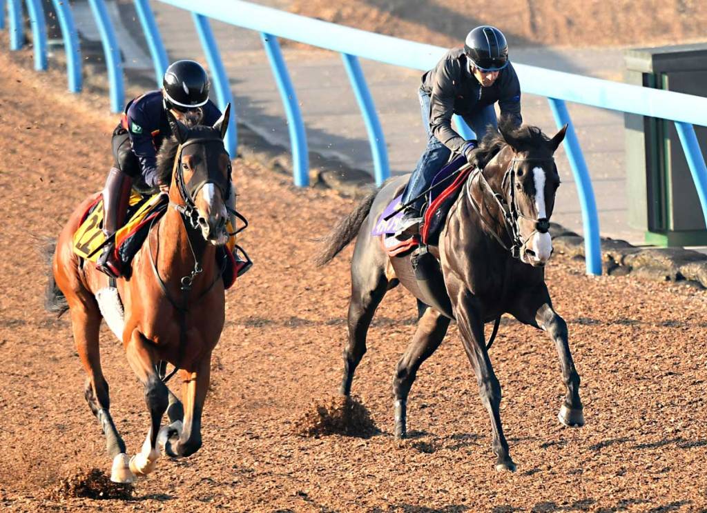 2022年5月29日賽馬日（10場田草泥混合、B跑道）、日本打吡單場推介