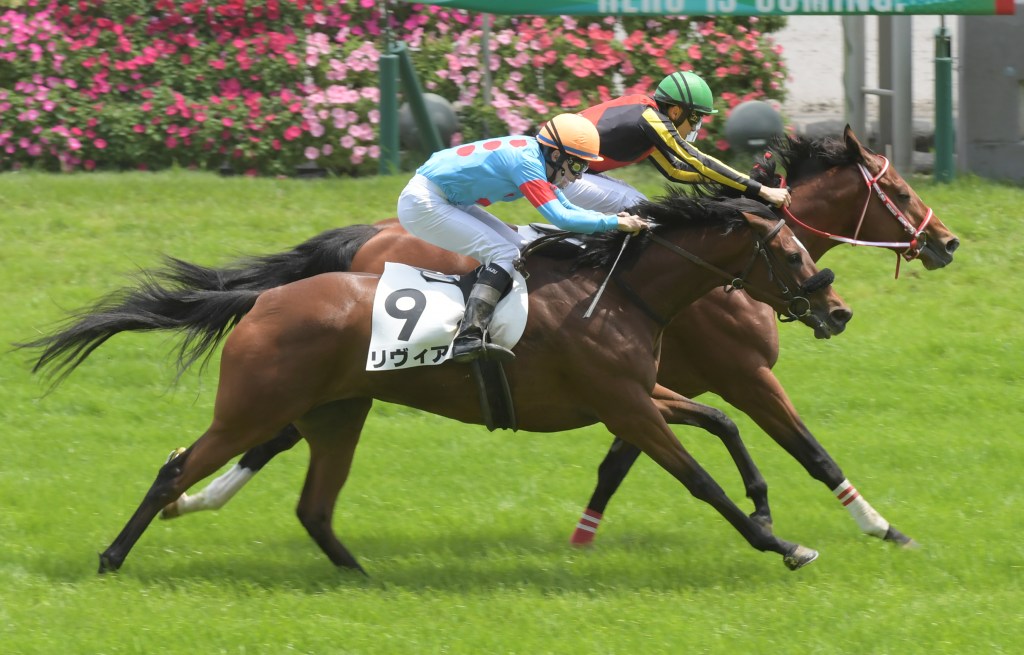 每日賽馬晚報(2022年5月28日),貝蒙錦標或有雌馬參戰,唯獨愛你三歲全弟初出贏馬