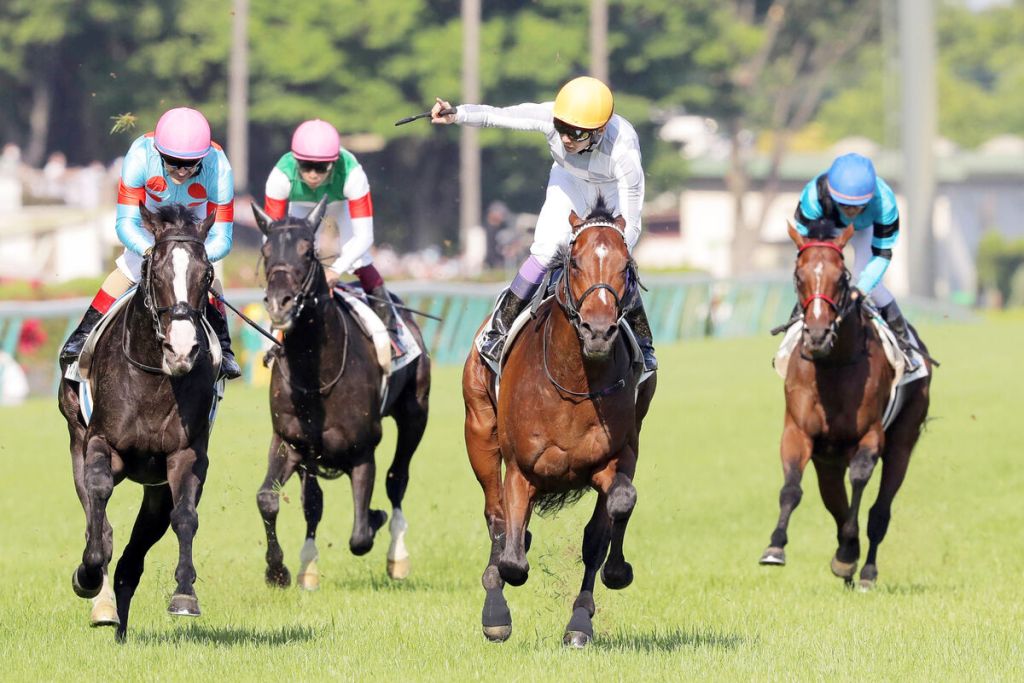 每日賽馬晚報(2022年11月3日),勝局在望避戰日本盃,連連歡樂直路賽無敵威過臻極姑娘