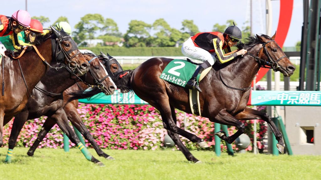 鳴尾紀念賽，寰宇旅者接近一年半載久休復出贏馬