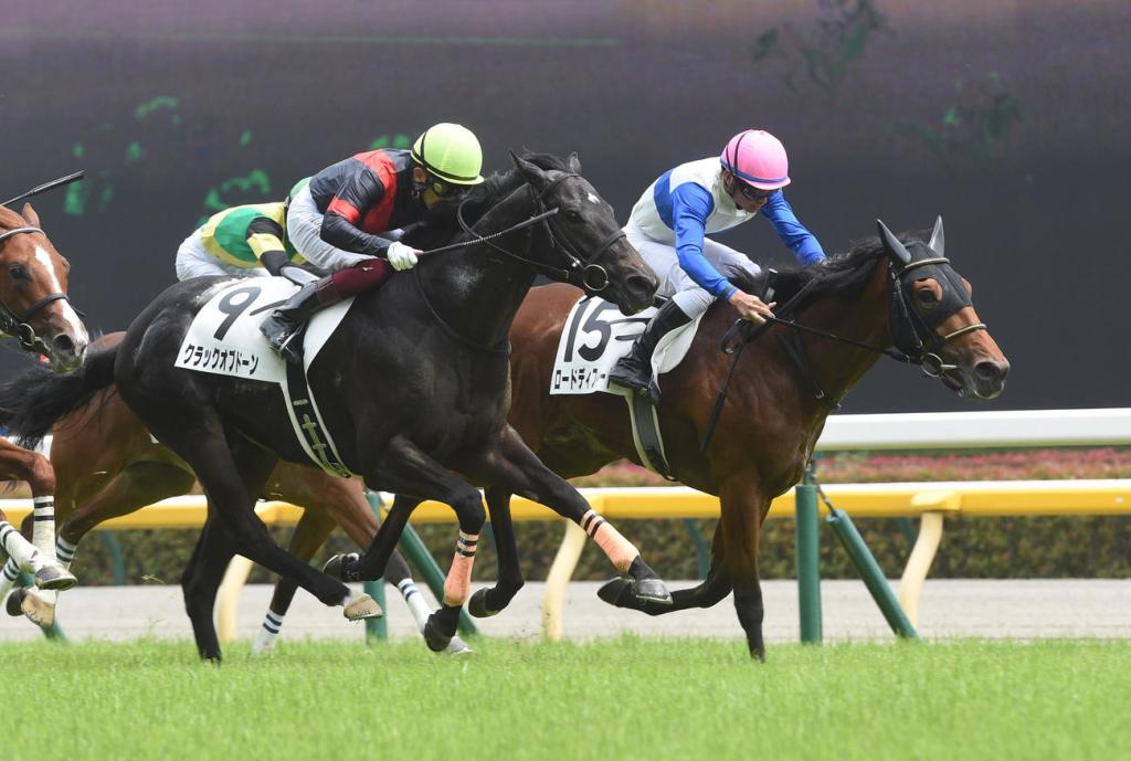 每日賽馬晚報（2022年6月5日），日本賽馬燈神終於贏馬，新種馬繼續揚威新馬賽