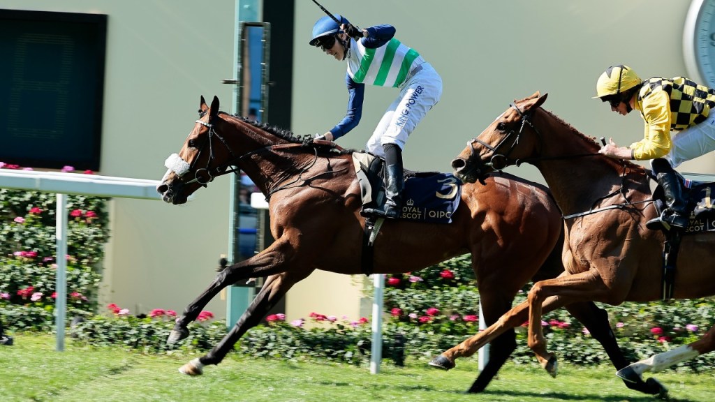 每日賽馬晚報（2022年6月15日），墨盃冠軍美利堅離世，浪跡高歌及招財週五賽事不會見