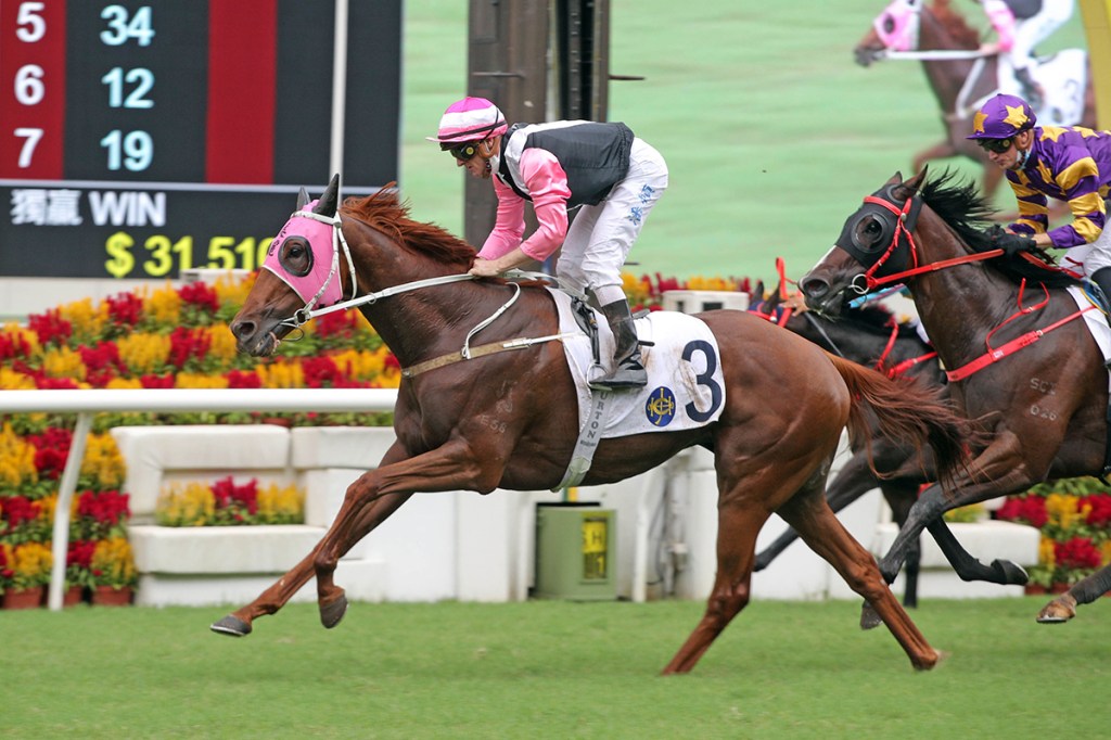 美麗同享能否發揮穩定性？