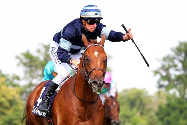 每日賽馬晚報（2022年11月11日），六匹外隊馬預定參加日本盃，但有春秋分避戰，真金不換成古摩亞旗艦種馬