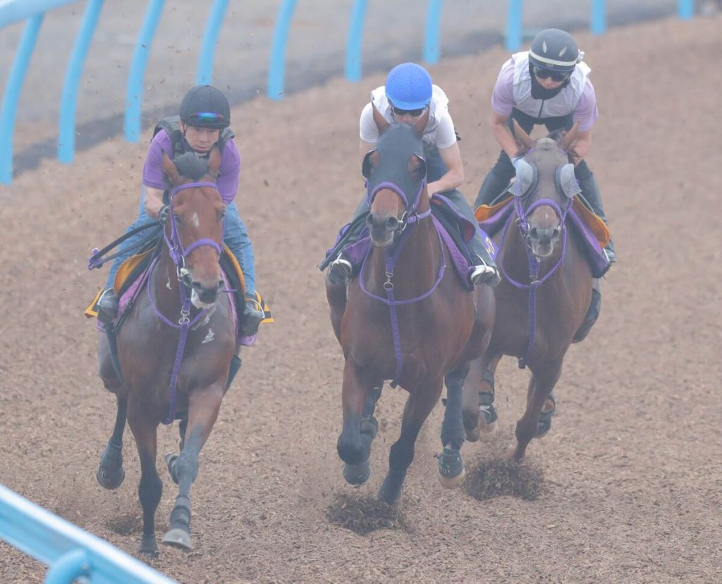 2022年6月26日寶塚紀念賽賽馬日全場推介