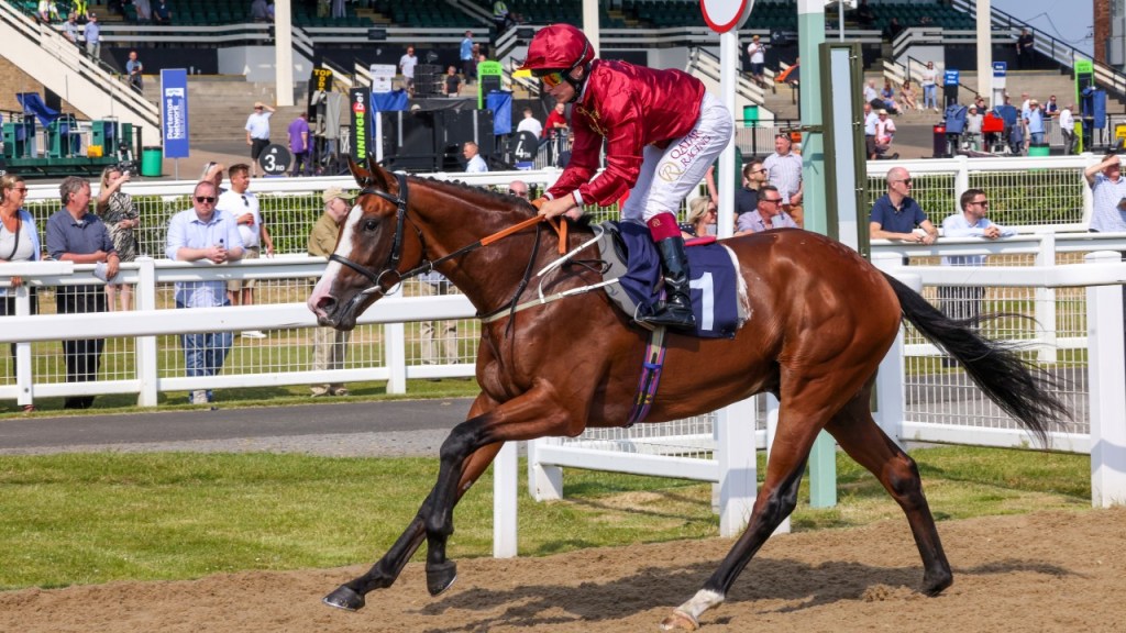 猛獅怒吼子嗣紐卡素大勝