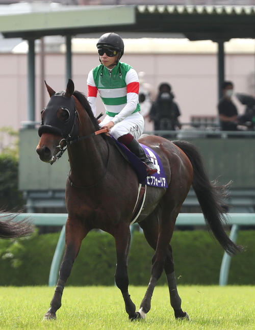 樂透心角逐秋季天皇賞並未寫上白紙黑字