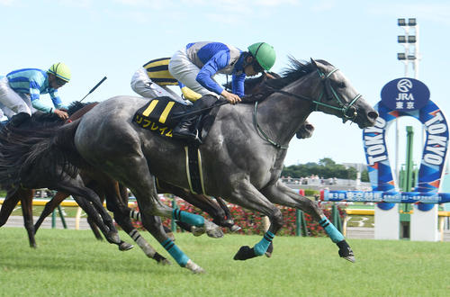 每日賽馬晚報(2022年6月27日),賽馬娘繁體中文版是日啟動,Reframe再於東京競馬場大外一氣