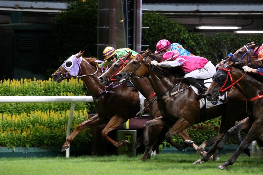 每日賽馬晚報（2022年7月7日），雅康納在法國將首次舉行拍賣馬賽事，蔡明紹力保告東尼獎領先地位