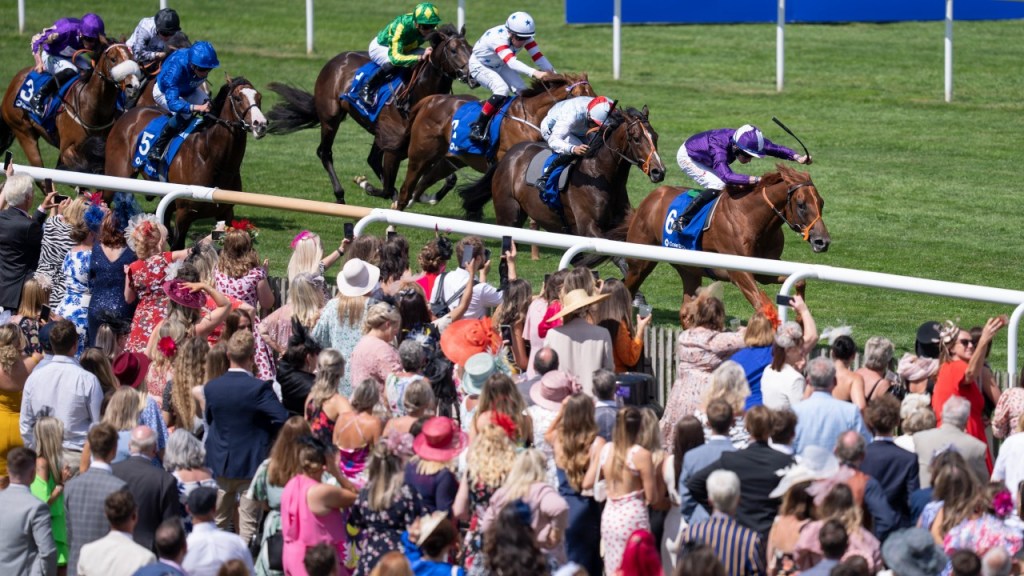 每日賽馬晚報（2022年11月21日），新加坡錦標賽2023年陸續歸隊，兩歲馬精銳大軍提早退役