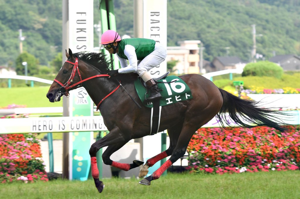 紅海草地讓賽，日本馬或現「真身」