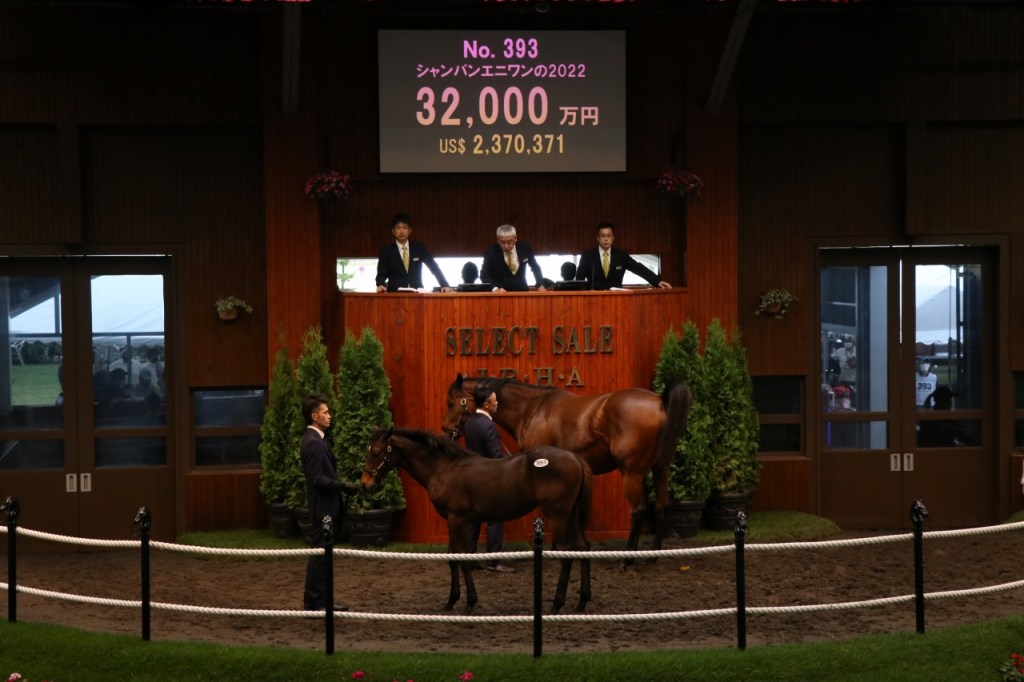 每日賽馬晚報（2022年7月12日），謀勇兼備或戰香港國際賽事，精選拍賣會當歲環節四駒身價達3億日圓