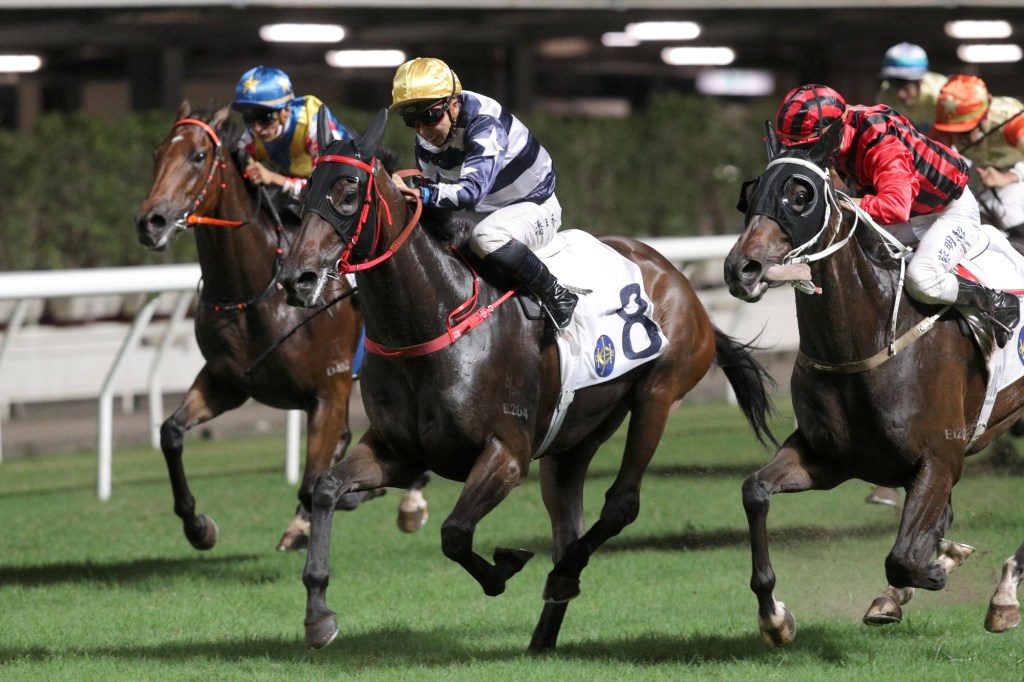 每日賽馬晚報（2022年7月14日），稱冠沙漠停操或影響英皇錦標大局，何良憑包裝系建功數字上仍有機會達標