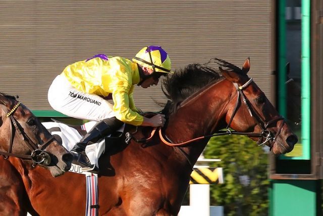 趁三歲馬無法上陣，誰能在樂景傑錦標先勝一場？